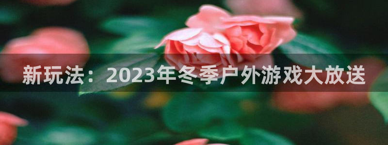 天美娱乐登陆地址：新玩法：2023年冬季户外游戏大放送