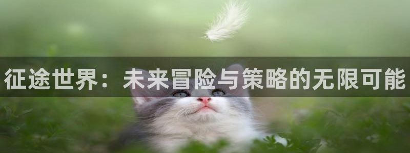 天美娱乐平台官方网站：征途世界：未来冒险与策略的无限可能