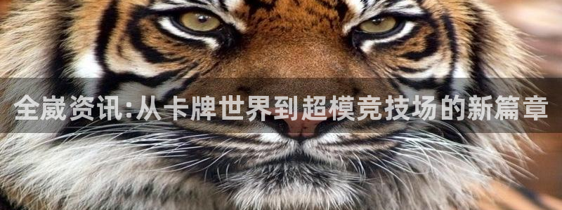 天美娱乐网页登录入口下载：全崴资讯:从卡牌世界到超模竞技场的