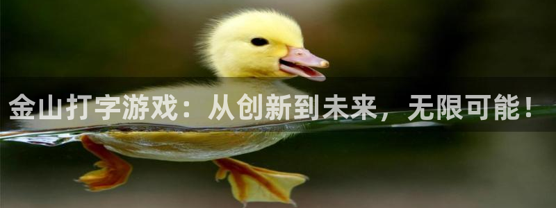 天美娱乐登陆：金山打字游戏：从创新到未来，无限可能！