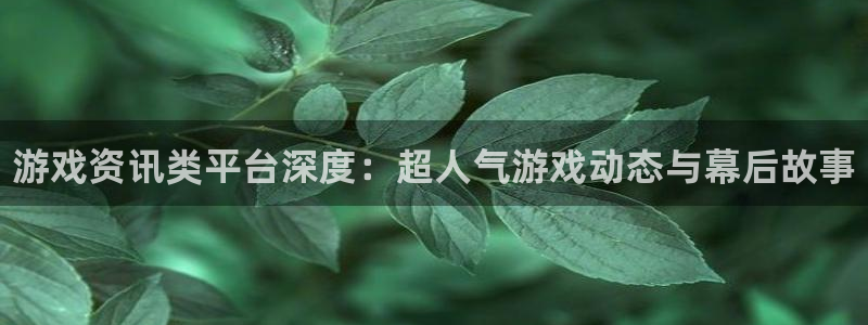 天美娱乐登录网址：游戏资讯类平台深度：超人气游戏动态与幕后故