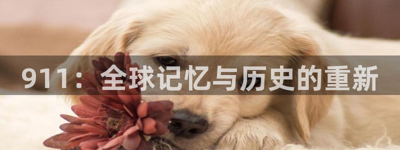 919nba直播：911：全球记忆与历史的重新