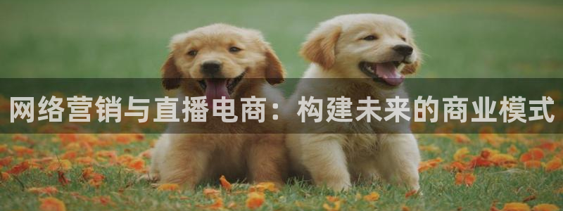 919nba直播篮球比赛：网络营销与直播电商：构建未来的商业模式