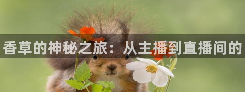919体育：香草的神秘之旅：从主播到直播间的