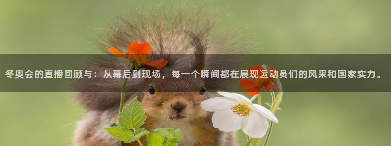 919篮球直播：冬奥会的直播回顾与：从幕后到现场，每一个瞬间都在展现运动员们的风采和国家实力。