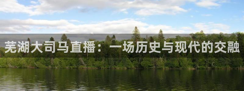 919直播足球版本1.0.7：芜湖大司马直播：一场历史与现代的交融