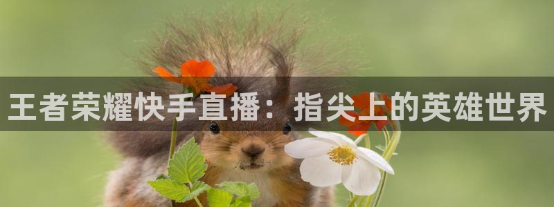 919zb体育直播：王者荣耀快手直播：指尖上的英雄世界