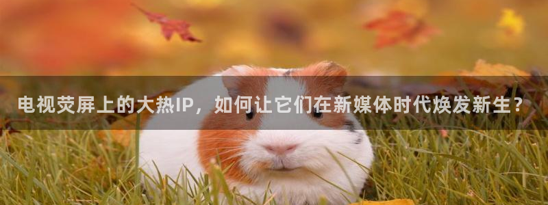919直播：电视荧屏上的大热IP，如何让它们在新媒体时代焕发新生？