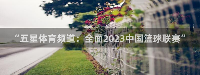919nba直播看球观看：“五星体育频道：全面2023中国篮球联赛”