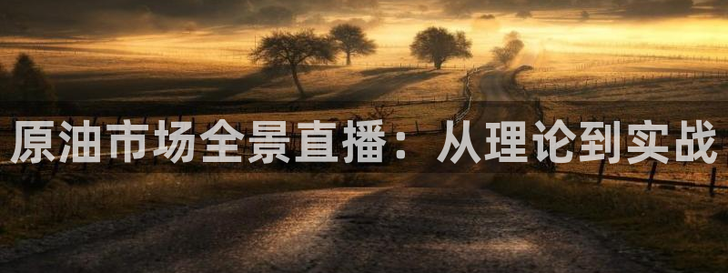 919nba直播看球观看：原油市场全景直播：从理论到实战