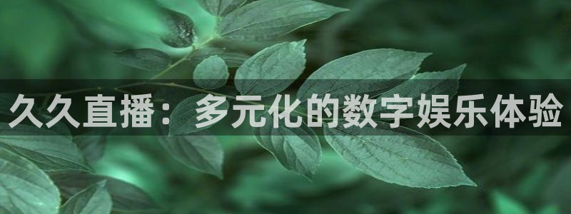 919体育直播：久久直播：多元化的数字娱乐体验