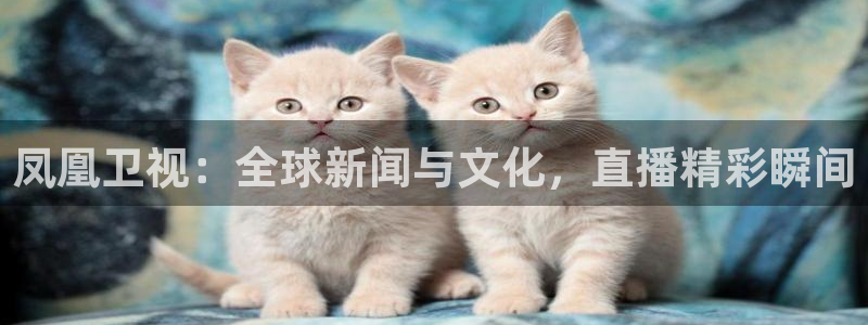 919体育nba直播安卓版：凤凰卫视：全球新闻与文化，直播精彩瞬间