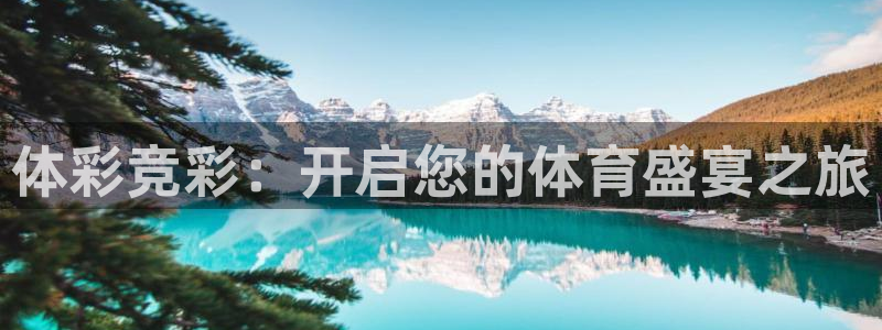 919看球直播nba：体彩竞彩：开启您的体育盛宴之旅