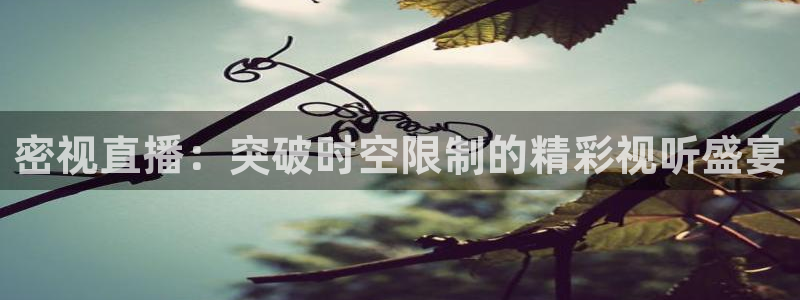 919足球直播间：密视直播：突破时空限制的精彩视听盛宴