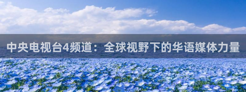 919直播看球在线观看：中央电视台4频道：全球视野下的华语媒体力量
